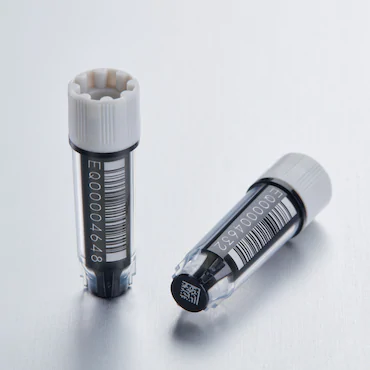 艾本德Eppendorf CryoStorage Vial，無菌, 無菌, 0.5 mL, 不含 DNase、RNase、人類 DNA 和內毒素；外螺紋，預先加蓋灰色管蓋，帶 2D SafeCode 
